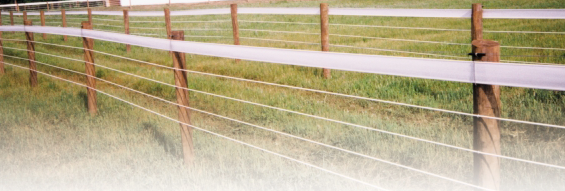 horse rail with white coated high tensile wire